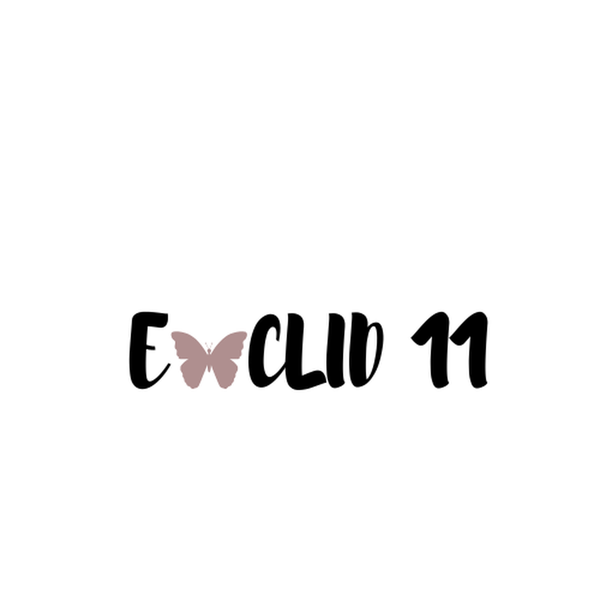 Euclid11